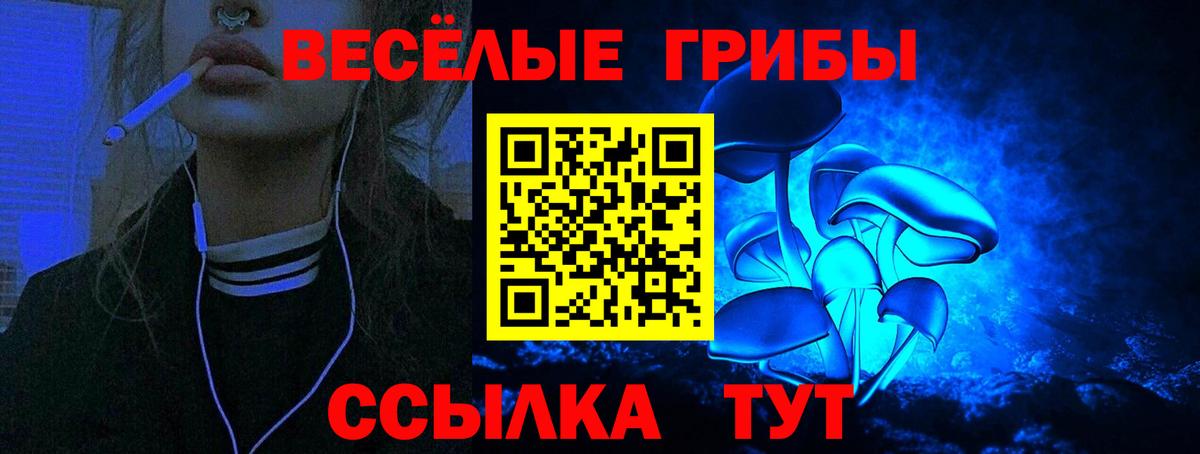 Люберцы  Псилоцибиновые грибы прущие грибы  Вход с VPN 